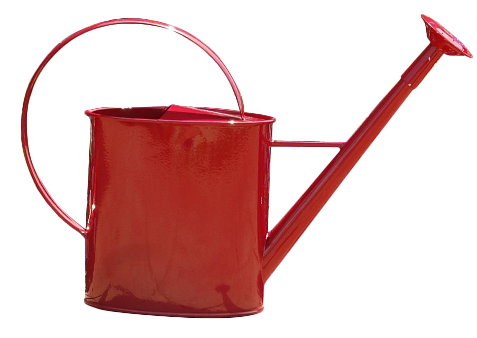 Griffith Creek Designs Metal 1 Gallon Watering Can with Long Spout & Reviews Wayfair